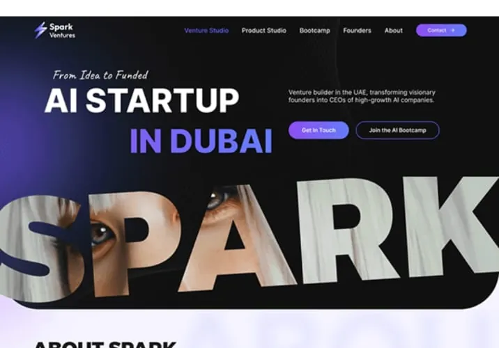 Spark Ventures website design